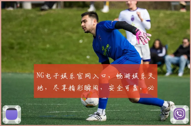 NG电子娱乐官网入口，畅游娱乐天地，尽享精彩瞬间，安全可靠，必看攻略，三步直达