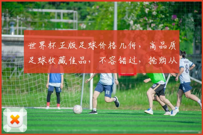 世界杯正版足球价格几何，高品质足球收藏佳品，不容错过，抢购从速