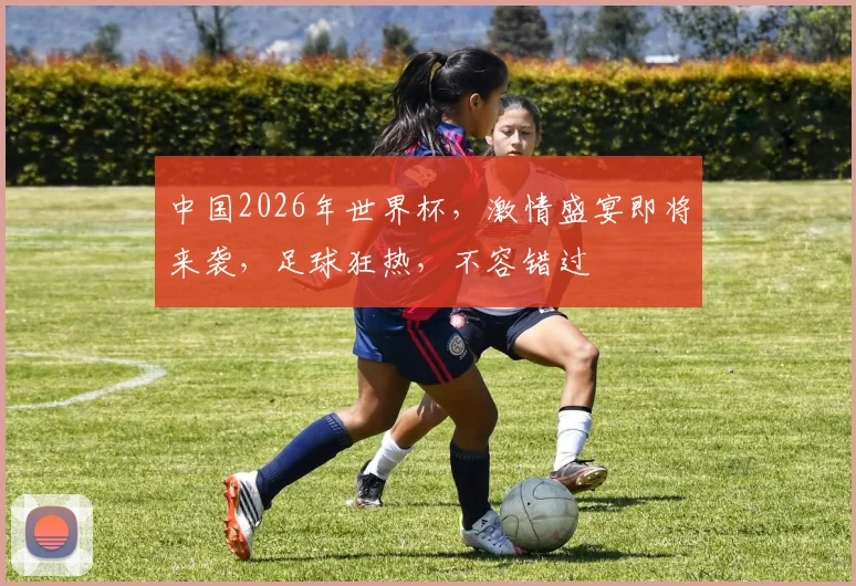 中国2026年世界杯，激情盛宴即将来袭，足球狂热，不容错过