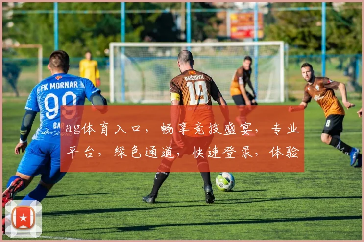 ag体育入口，畅享竞技盛宴，专业平台，绿色通道，快速登录，体验非凡