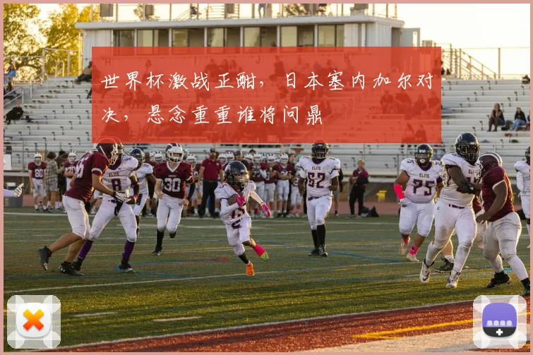 世界杯激战正酣，日本塞内加尔对决，悬念重重谁将问鼎
